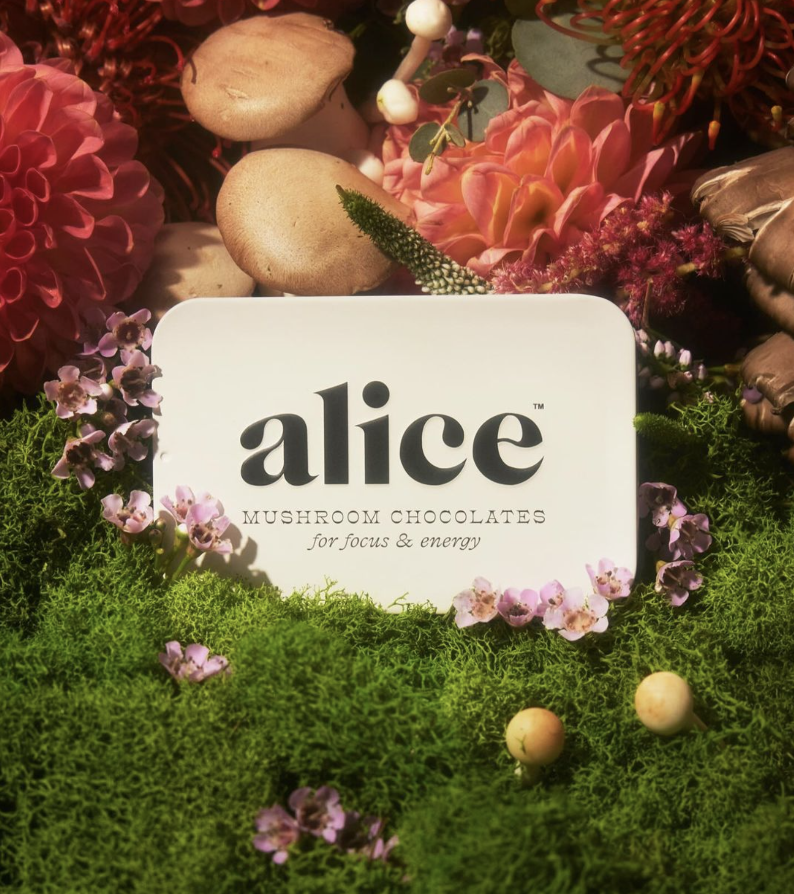 A tin labeled "Alice Mushroom Chocolates" is surrounded by pink flowers, green moss, and mushrooms.