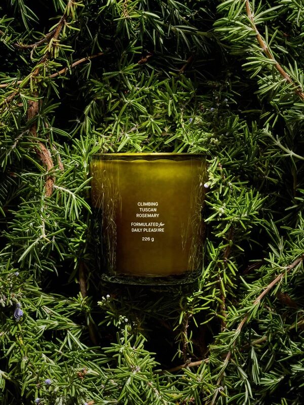 A green candle labeled "Climbing Tuscan Rosemary" is surrounded by rosemary foliage.