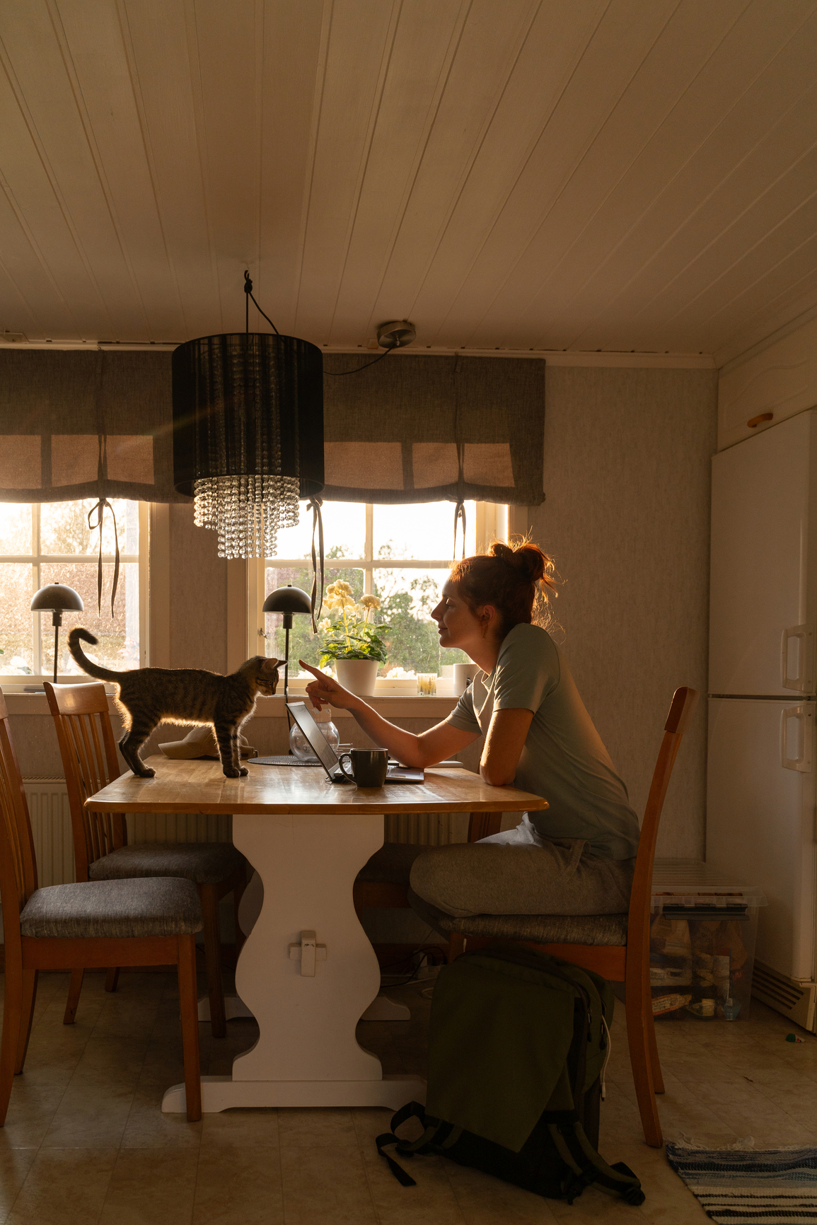 A person sits at a kitchen table working on a laptop, with a cat standing on the table. Sunlight streams through the windows.