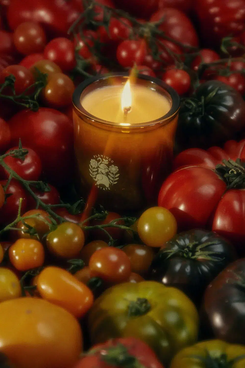 A lit candle sits surrounded by an assortment of tomatoes in various colors and sizes.