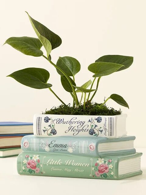 A plant in a pot shaped like three stacked books, titled "Wuthering Heights," "Emma," and "Little Women," with decorative designs on their covers.