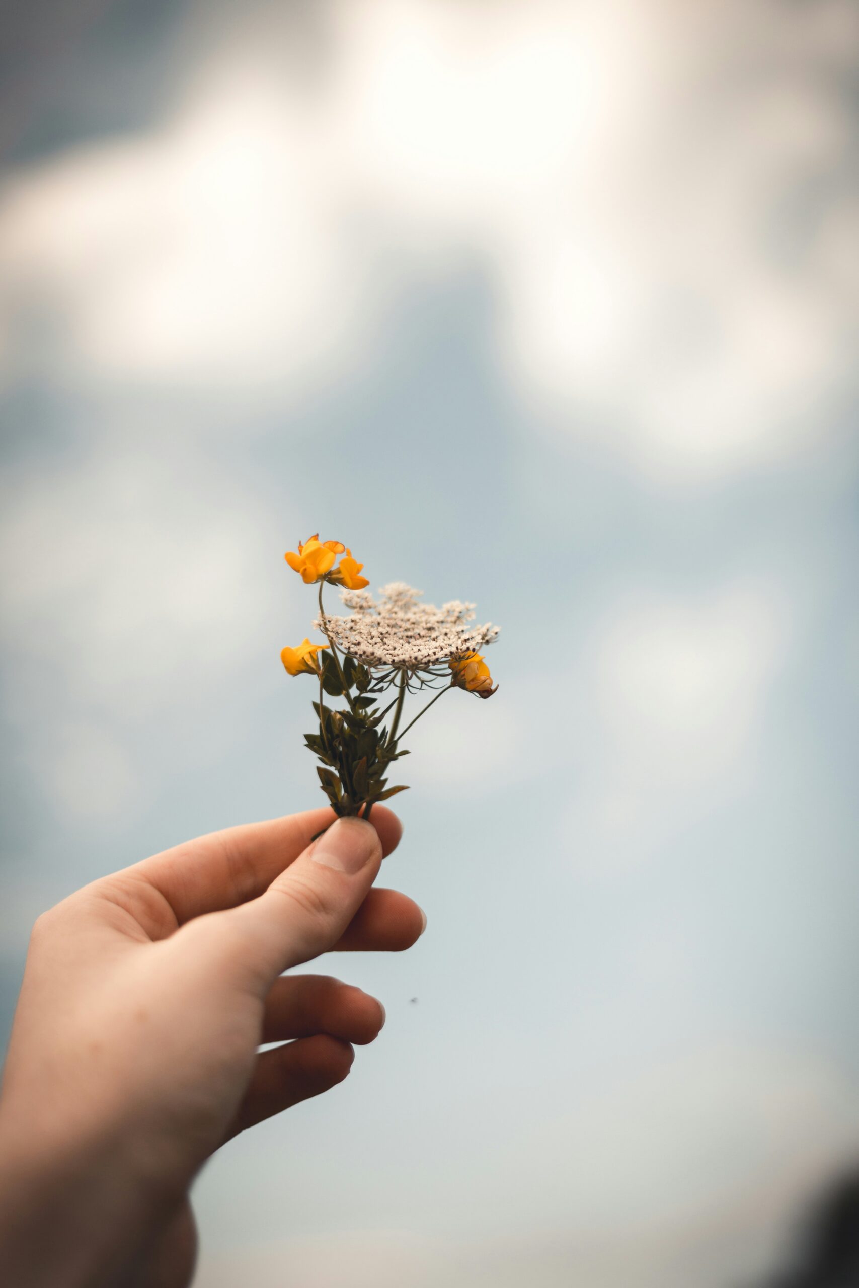 Hand holding a small bouquet of yellow and white wildflowers against a blurred sky background.