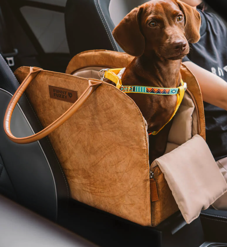 Dog in a brown carrier seat in a car, sitting next to a passenger, wearing a colorful harness.