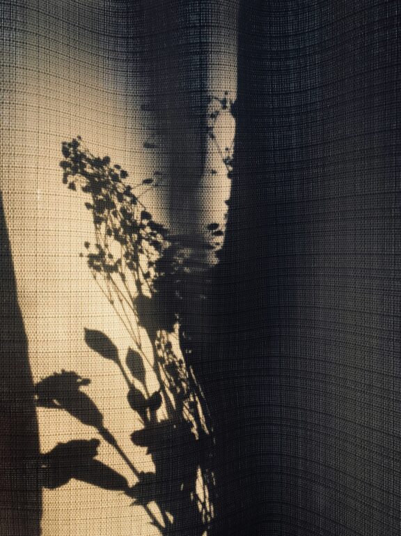 Shadow of a plant with delicate flowers cast on a textured curtain.