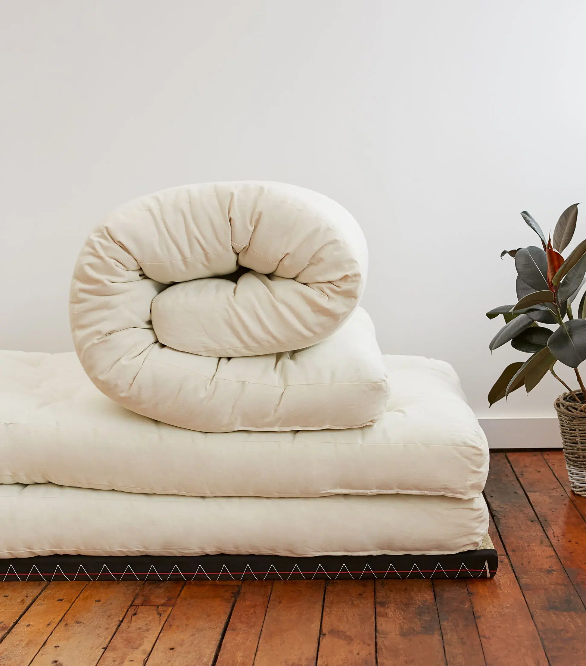 Rolled-up white futon mattress on top of an unfolded futon, beside a potted plant on a wooden floor.